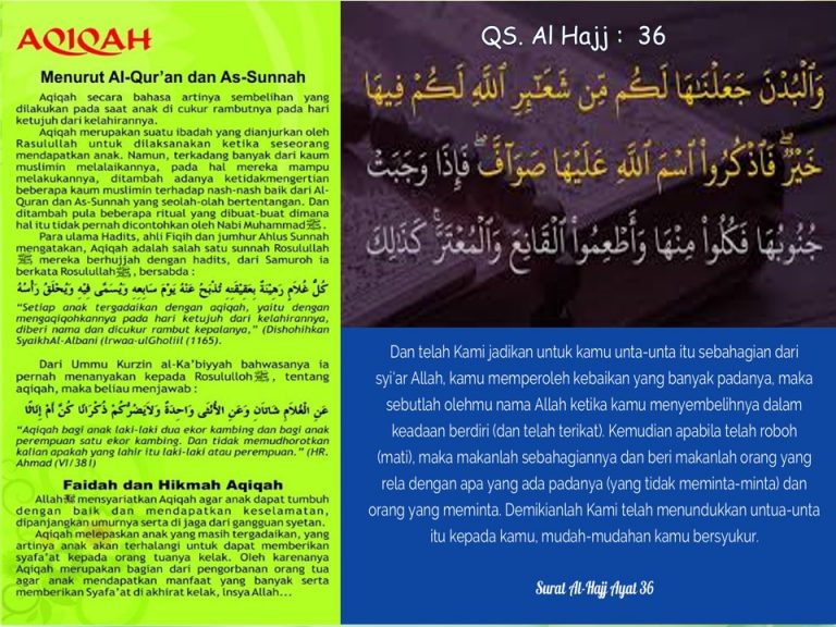 Jasa Aqiqah Serang Cilegon