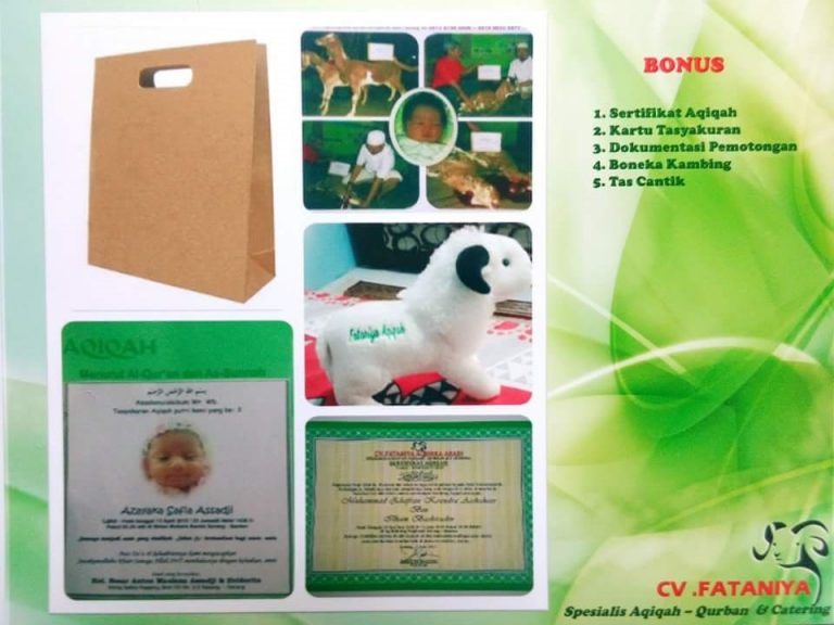 Jasa Aqiqah Serang Cilegon