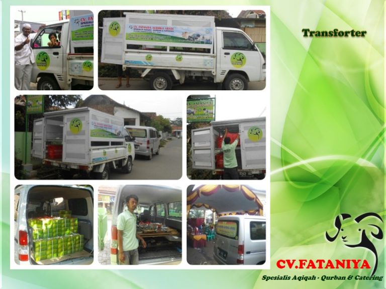 Jasa Aqiqah Serang Cilegon