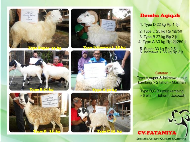 Jasa Aqiqah Serang Cilegon