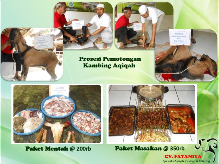 Jasa Aqiqah Serang Cilegon