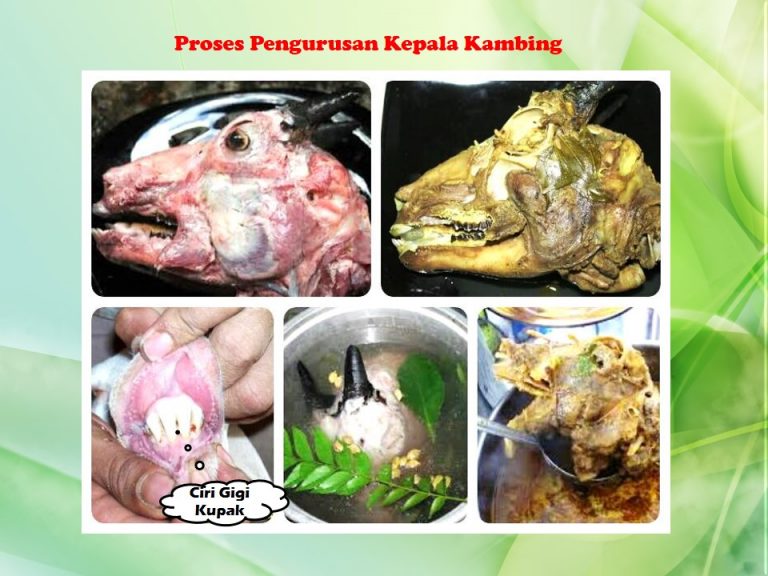 Jasa Aqiqah Serang Cilegon